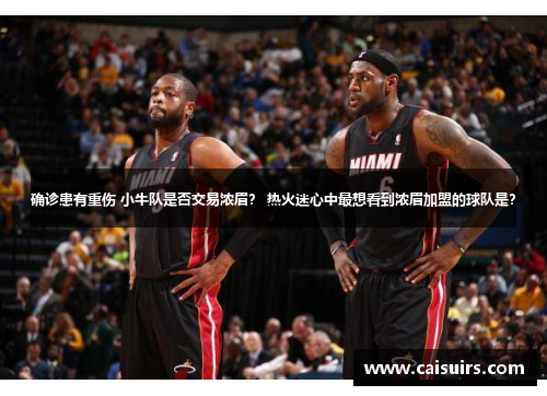 确诊患有重伤 小牛队是否交易浓眉？ 热火迷心中最想看到浓眉加盟的球队是？