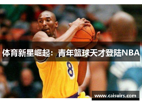 体育新星崛起：青年篮球天才登陆NBA
